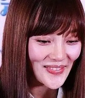 整容失败的明星排行榜李小璐似蛇精刘晓庆老态毕现