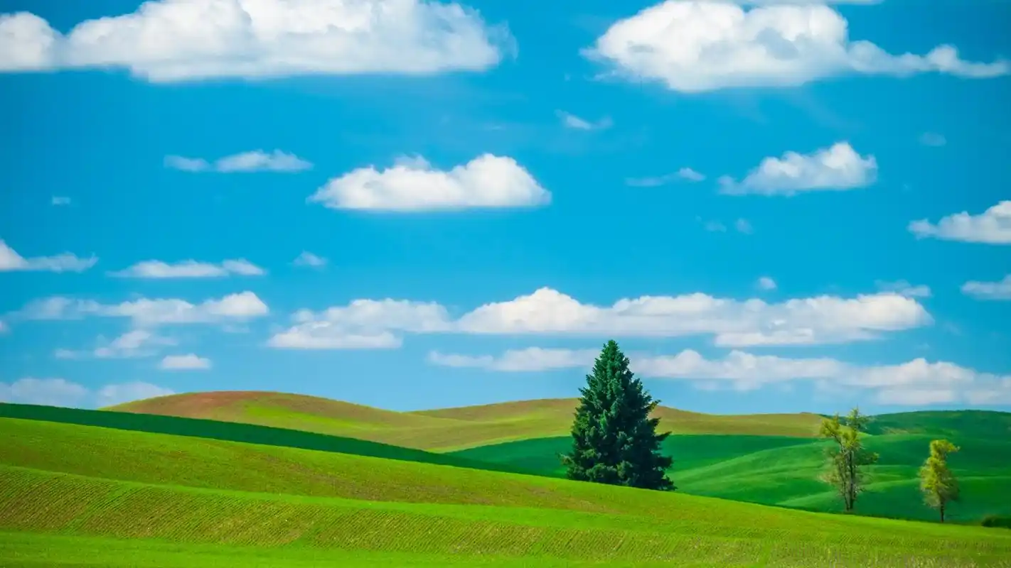 蓝天绿草地清新护眼高清桌面壁纸下载高清大图预览1920x1080_风景壁纸