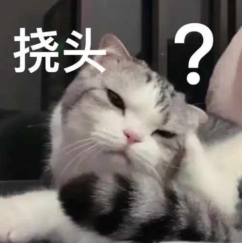 萌宠喵星人挠头怎么会这样疑惑呆萌gif动图_动态图_表情包下载_soogif