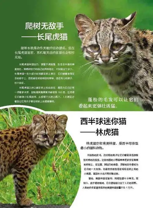 你不得不读的超级科普书 登月50周年纪念 500种野生动物让