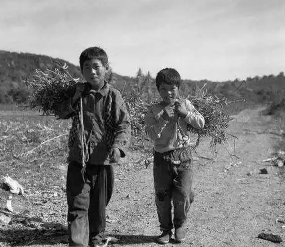 童年的记忆之劳动课