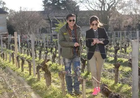 图赵薇的酒庄照片曝光谢霆锋千万元酒庄探秘