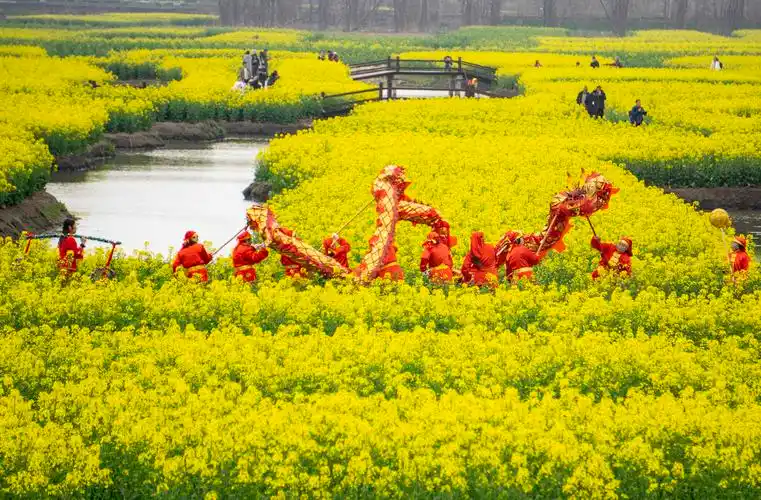 【视觉中国】江苏兴化:春到垛田油菜花开_人民号