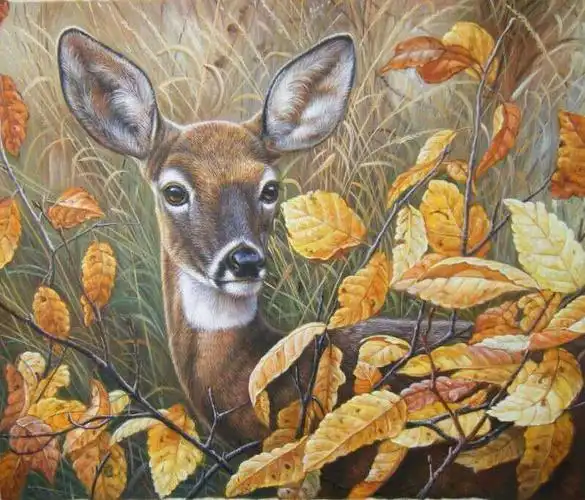 林小杉《梅花鹿》50*60cm 布面油画