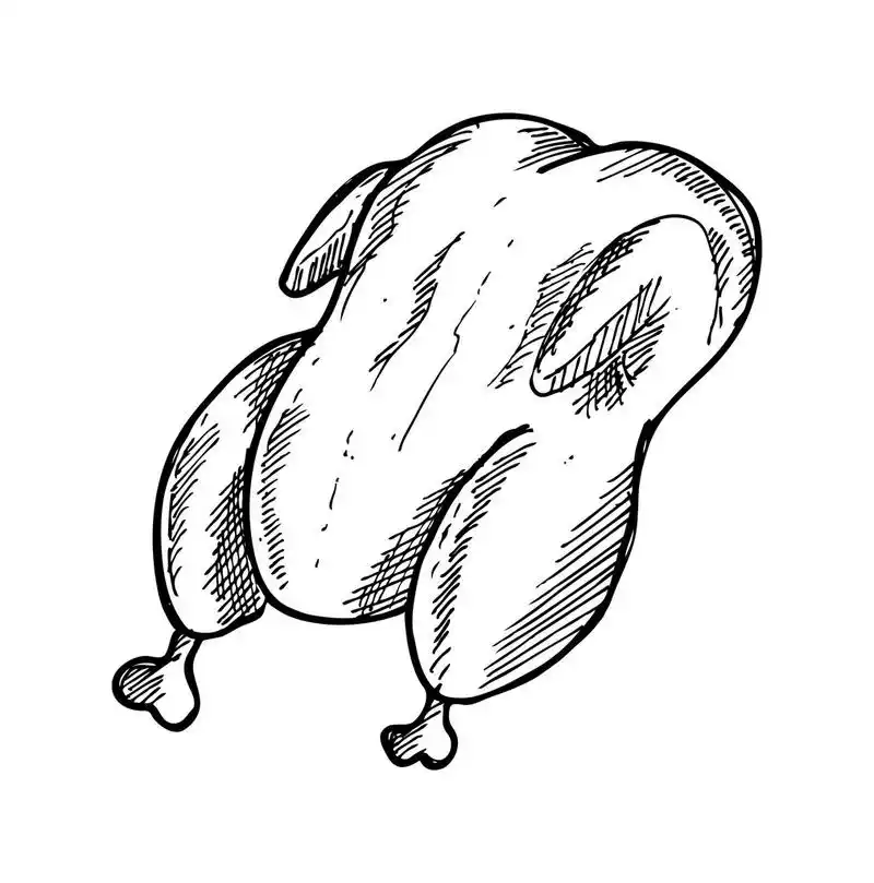 手绘生鸡肉,手绘生鸡肉