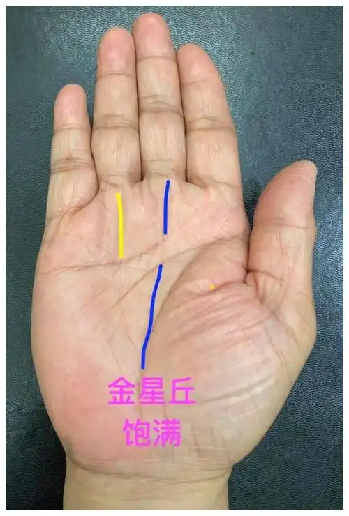 手相这个地方饱满穷人变富人打个漂亮的翻身仗