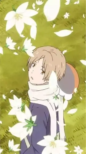 夏目友人帐壁纸头像120张超清集:此生无悔入夏目来世愿为帐中妖