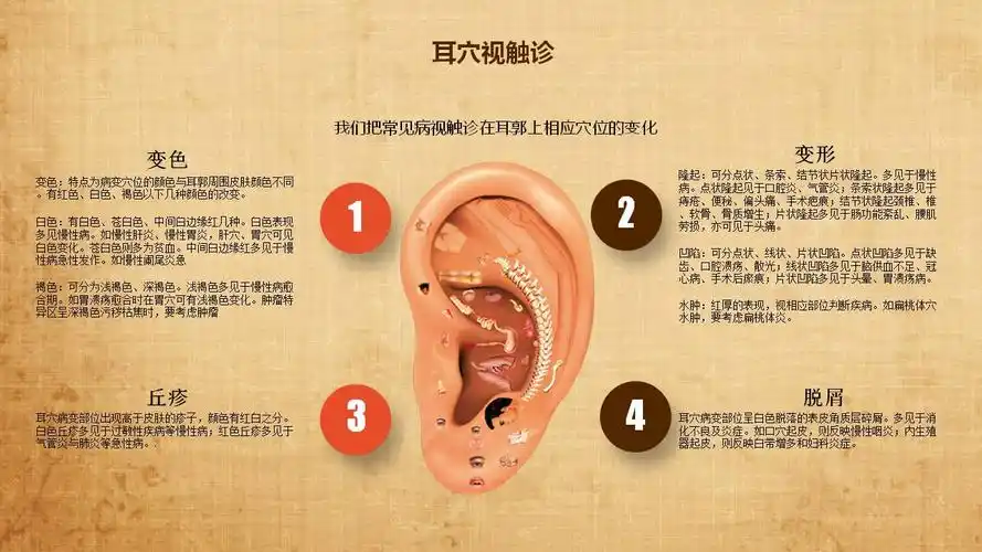 第十一节:耳穴诊断—视触诊(9月15日)-【微中医】耳穴诊疗学习班-【微