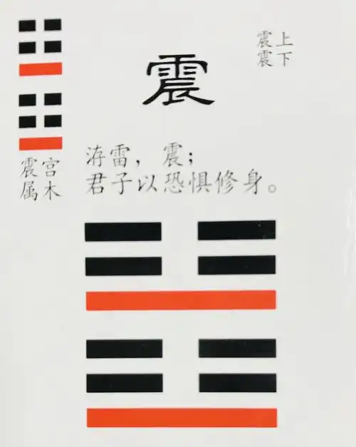 震卦万物类象