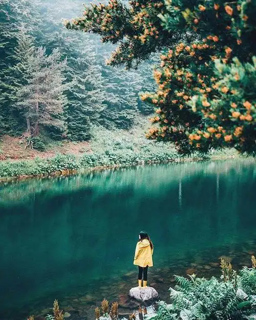 2021致拼搏路上的自己精辟霸气超励志