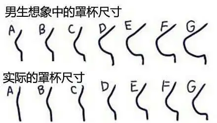 内衣的罩杯怎么看?a,b,c,d怎么确定?