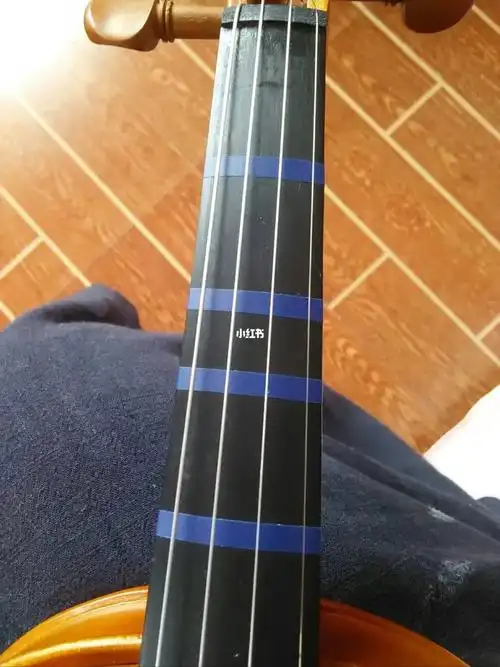 辨别小提琴老师的好坏