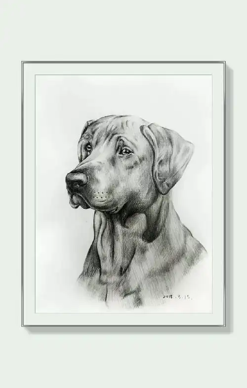 洛阳亲子 洛阳才艺启蒙 达芬奇美术书法2018作品展素描精修班作品