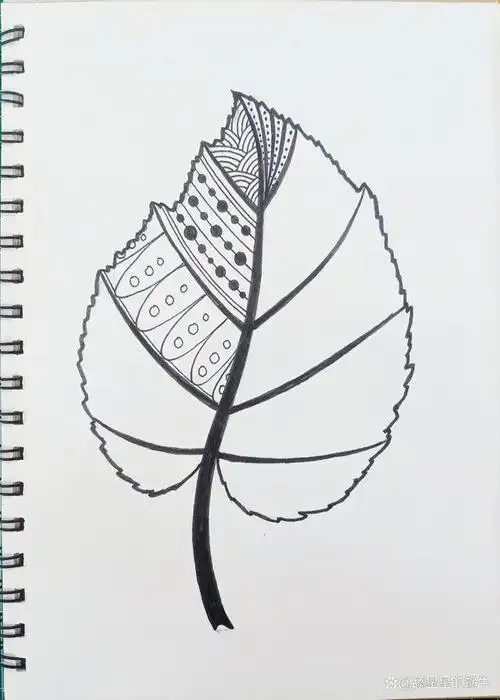 线描创作‖黑白线描画《树叶》图文版