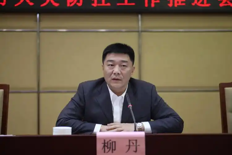 副区长,公安分局局长柳丹同志