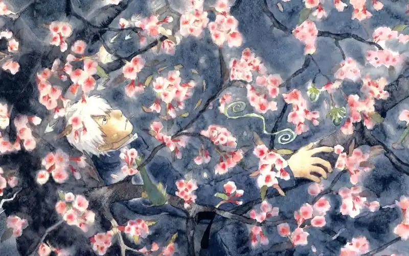 虫师,银古,复古,怀旧,日本动漫,acg,樱花,动漫虫师壁纸图片