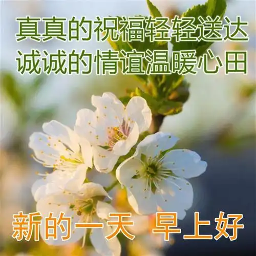 关心慰问大家的早安祝福图片带字,超好看的早安图片暖心早安情话