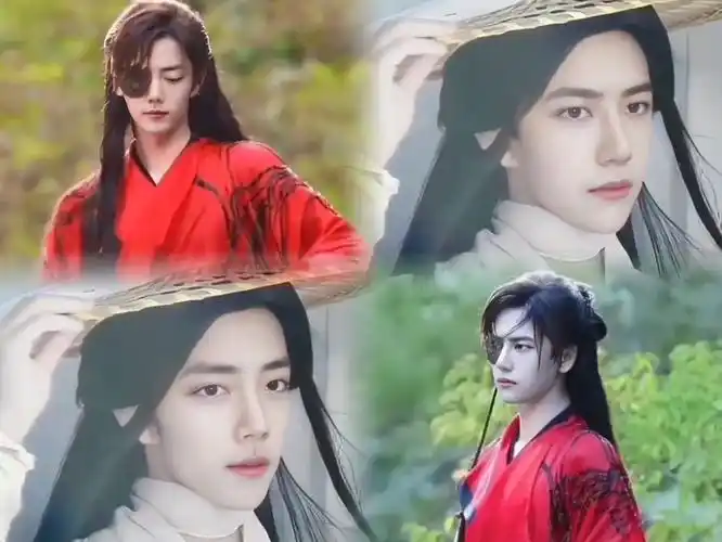 【纯娱乐向,不喜慎入】肖战王一博版花城谢怜【战山为王|博君一肖】