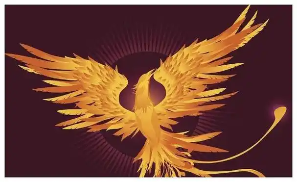 凤凰指什么生肖-三丫星座网