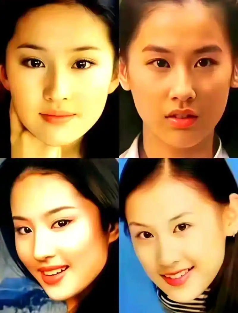 从误解到共鸣:刘亦菲与黄圣依的演艺之路