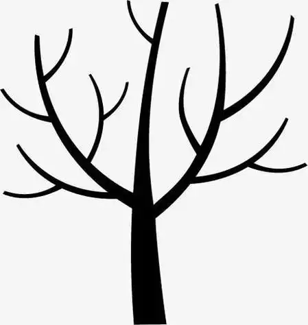 粗壮的树干简笔画