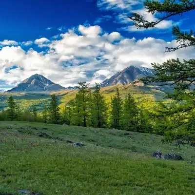 绿色草甸草原风景qq高清头像图片