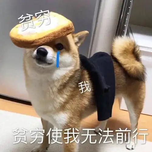 超搞笑的沙雕表情包合集