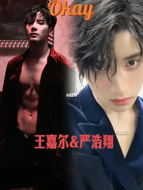 猜猜是王嘉尔还是严浩翔okay对比