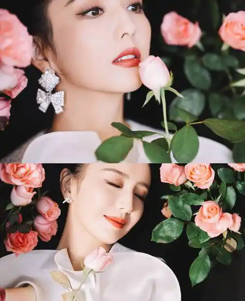 佟丽娅置身粉玫瑰花海宛若仙女 微微一笑人比花娇-搜狐大视野-搜狐