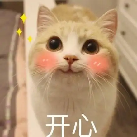 开心 - 吸完这只猫,心情都变好了_猫_喵星人_吸猫_萌萌哒表情