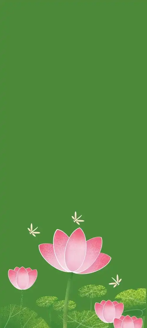 清新绿色护眼荷花壁纸