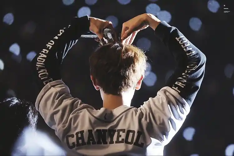 exo朴灿烈高清壁纸你的背影也满满都是爱啊