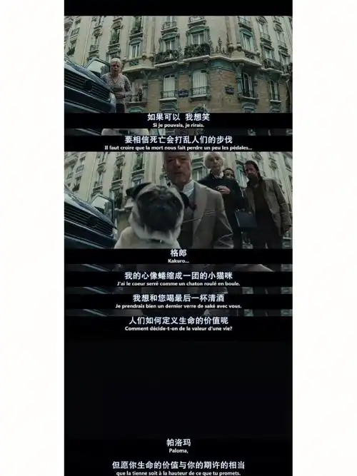 之前推荐过这部电影《刺猬的优雅》,二刷,不同的心