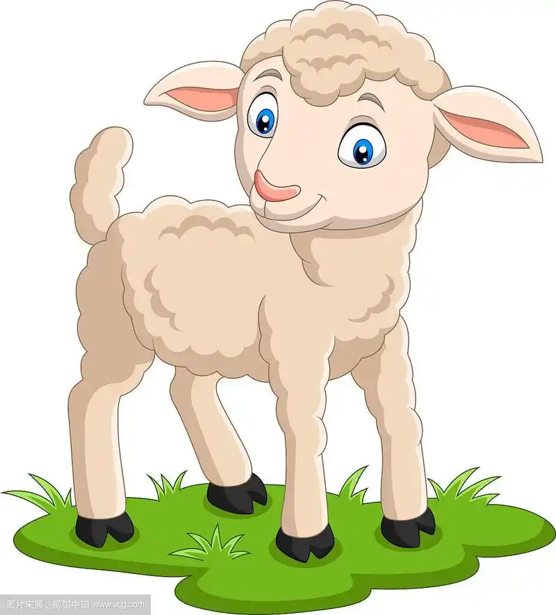 卡通快乐的小羊在草地上