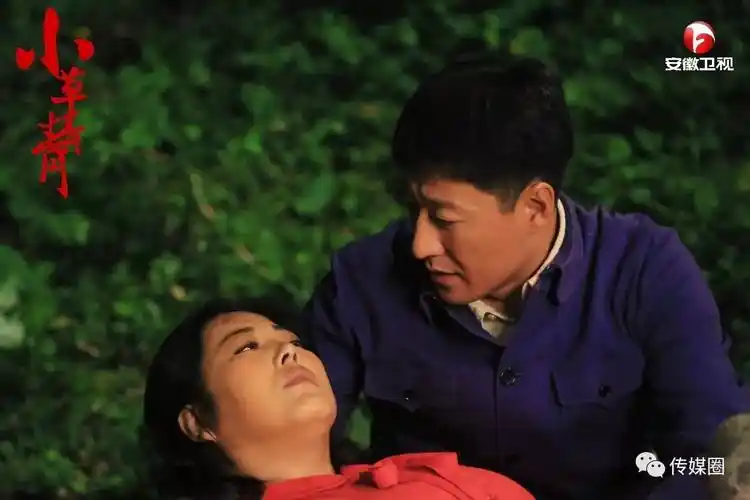 安徽卫视小草青青续写金马双生姐妹花泪点