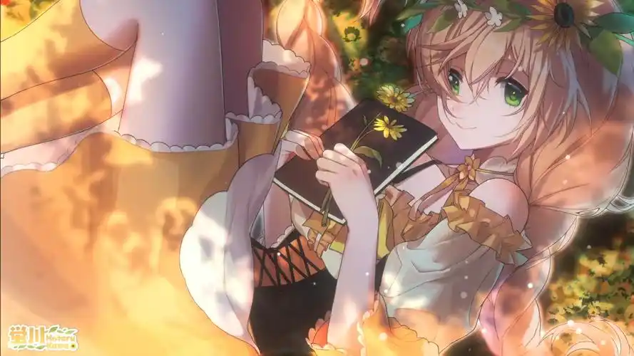 【动态壁纸】树影 丨 光与叶的轮舞曲