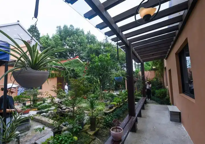 这是嘉兴海宁市兴城村的一户优美庭院示范户(8月26日摄).