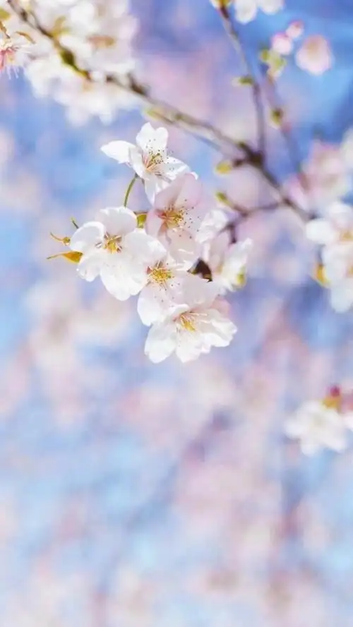 2021早安最美一句话,温暖治愈