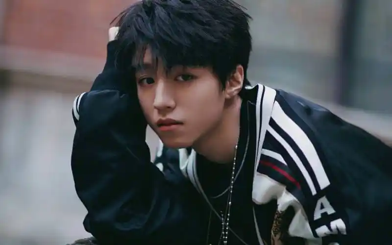 王俊凯遭粉丝深情"告白",害羞回应,展现真挚偶像粉丝情