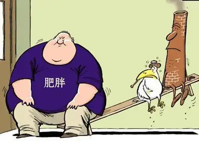 四虚的女士要这样补气不做瘦不下来的胖子