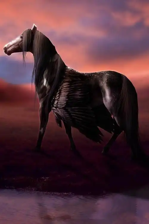 渲染马,翅膀,飞马,水,云