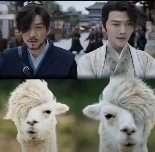 张真源跑男飞椅首飞