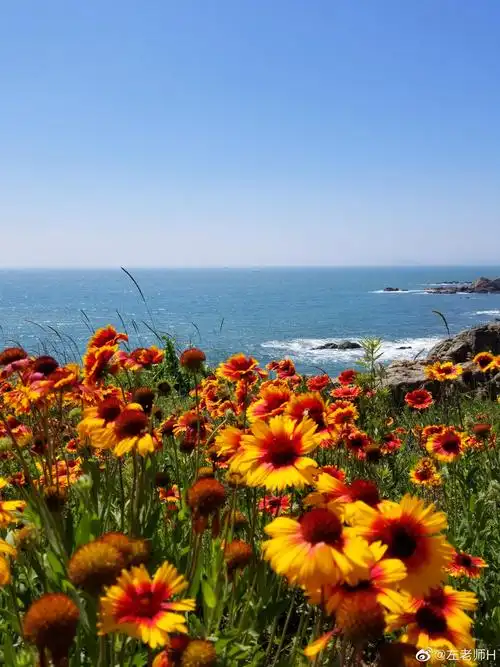 大美西海岸带你去看山花烂漫带你去看面朝大海