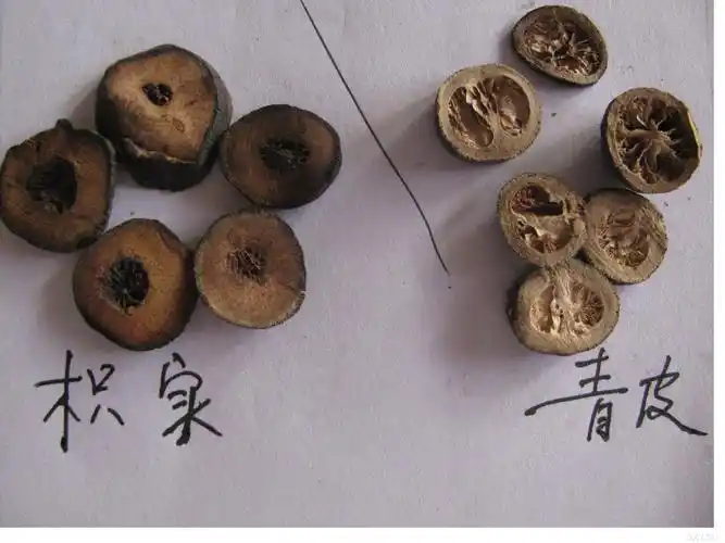 【原创】枳实与青皮的区别