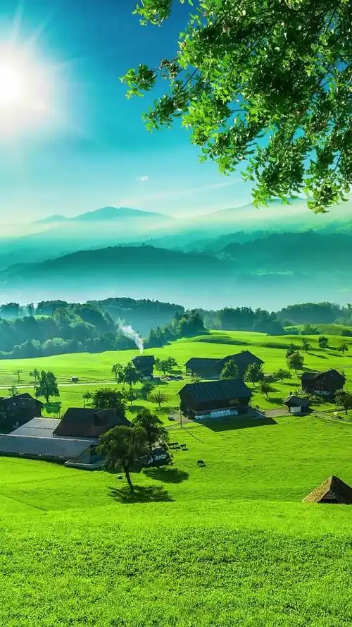 火萤 视频:美丽大自然73治愈系阳光