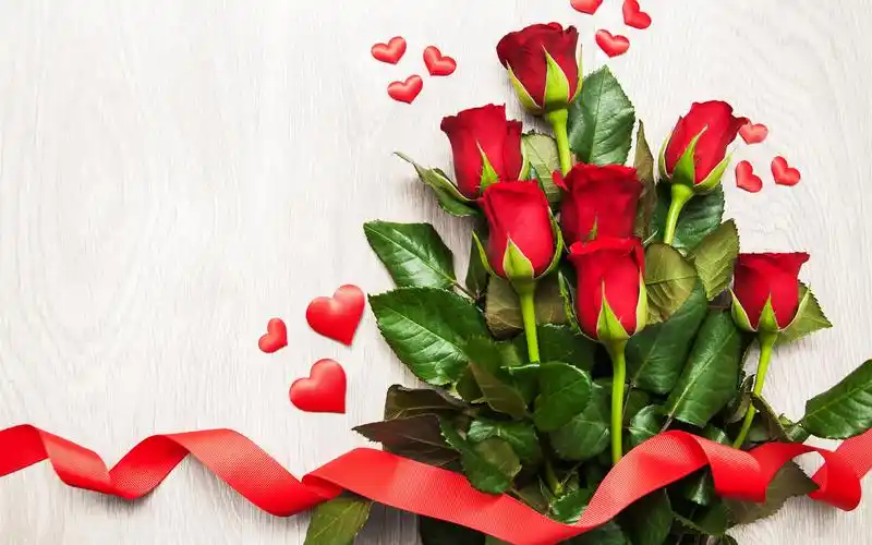 首页 鲜花 玫瑰 红玫瑰,爱的心,丝带 壁纸 红玫瑰,爱的心,丝带 桌布