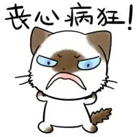 猫咪萌宠可爱丧心病狂gif动图_动态图_表情包下载_soogif