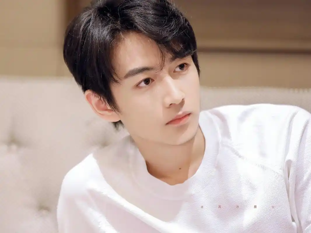 精美图集|陈晓帅气写真