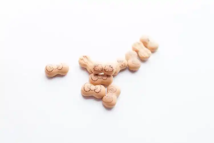 日本原装进口零食品 北陆 凯蒂饼干 50g hellokitty日系猫粮形状