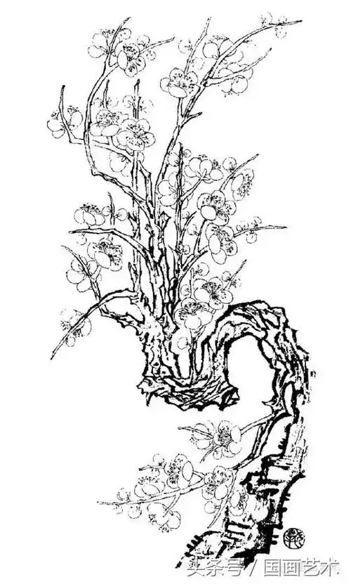 100幅白描梅花绘画手稿,练笔用